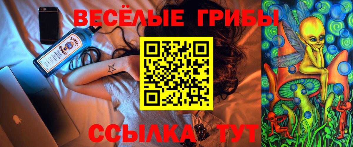 Псилоцибиновые грибы Cubensis  Вход с VPN  Галлюциногенные грибы ЛСД  Павлово 