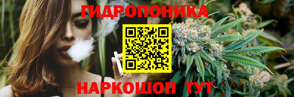 Бошки Шишки MAZAR Павлово